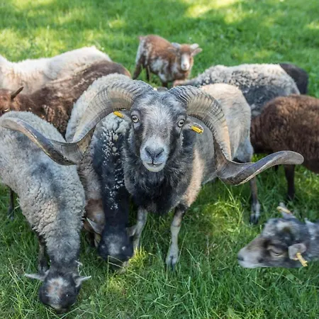 Am Sedelbach Сasa de vacaciones